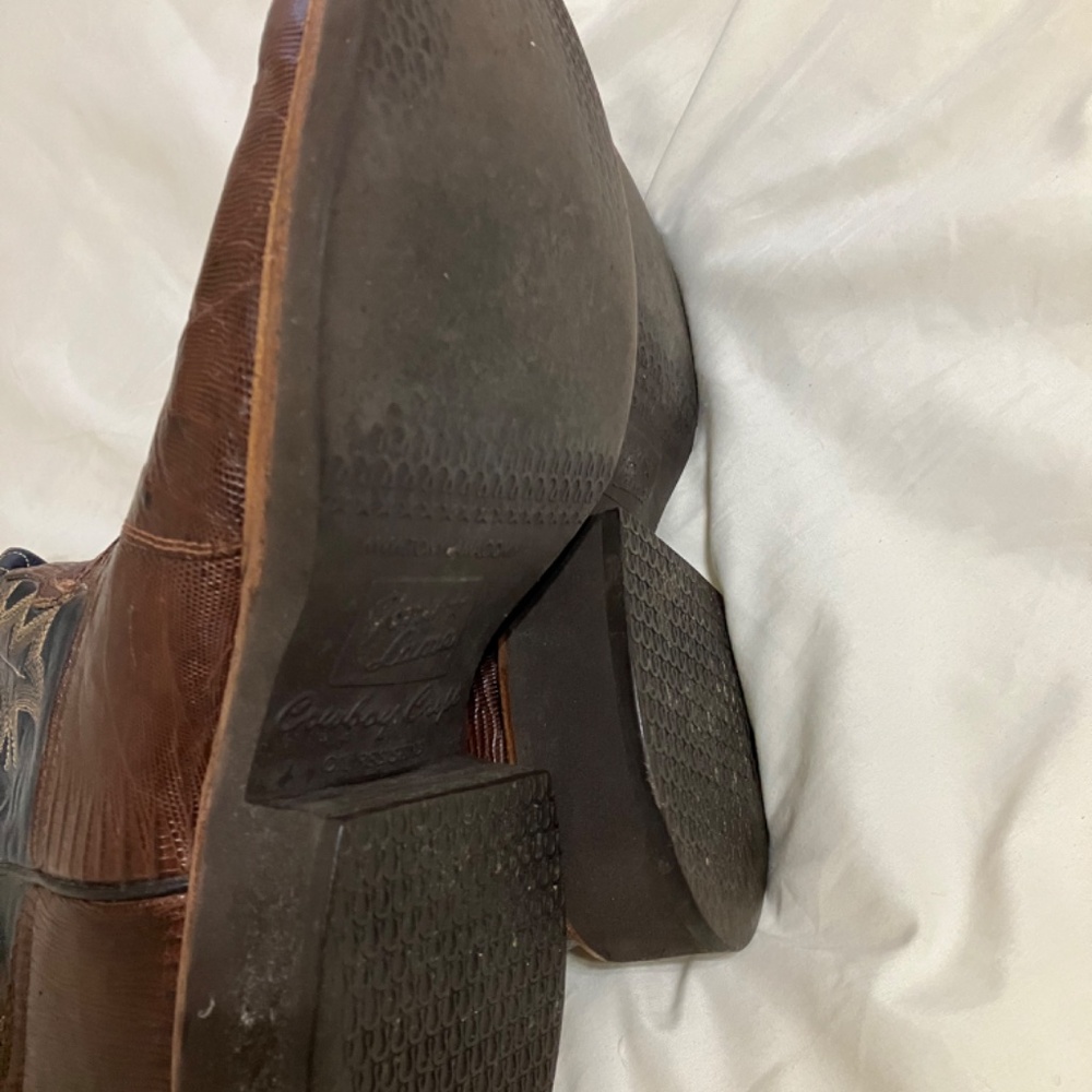 Lizard Baits - image 4